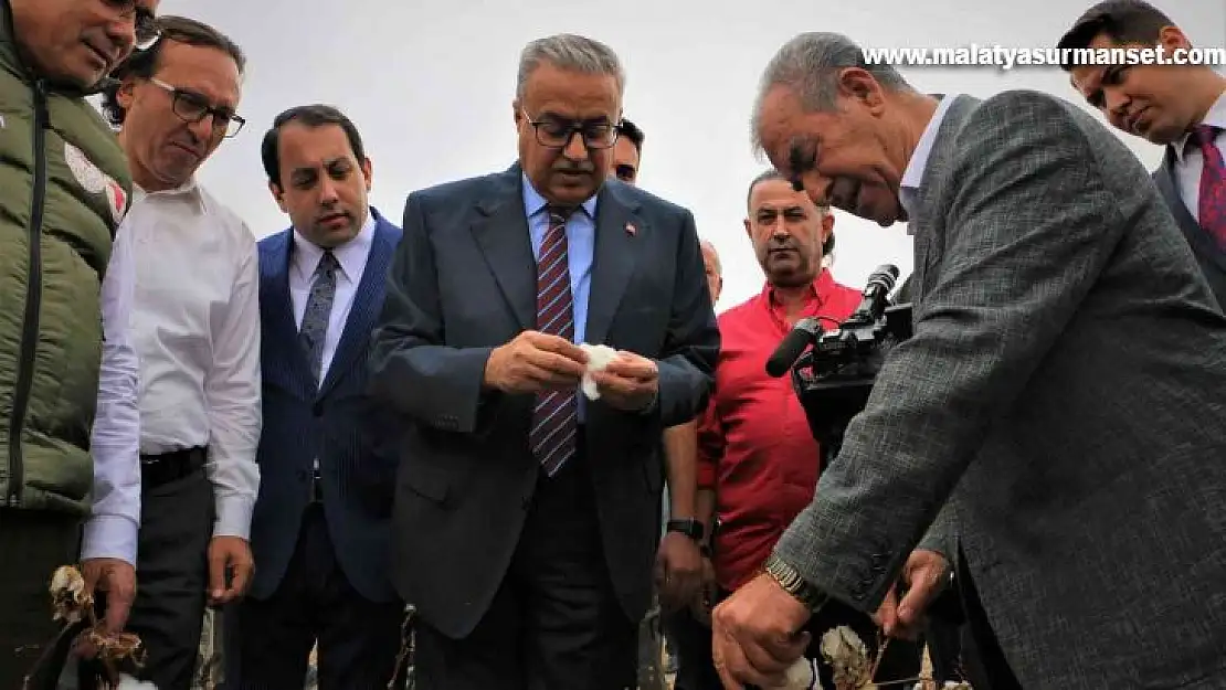 Diyarbakır'da 'beyaz altın' hasadı başladı, Vali Su ilk hasadı yaptı