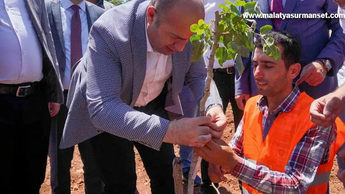 Diyarbakır'da 100 bin ağaçlık fıstık aşılama çalışması başlatıldı