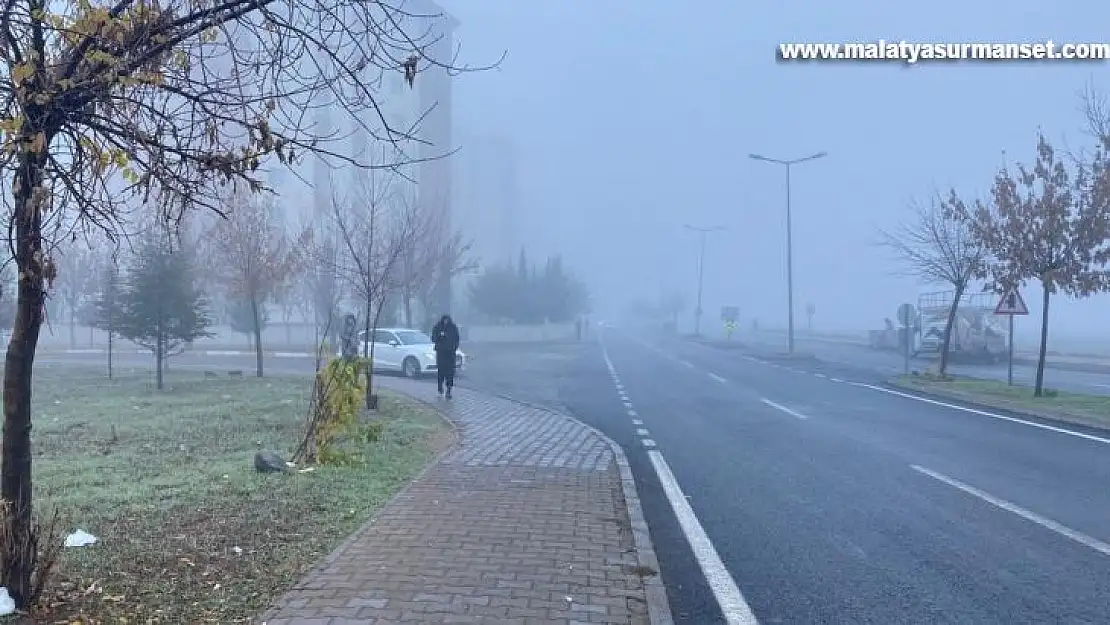 Diyarbakır'da 4 gündür etkili olan sis nedeniyle uçak seferleri iptal edildi