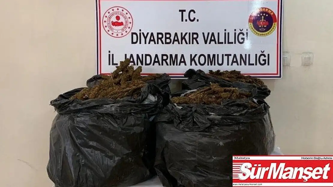 Diyarbakır'da 66 kilo esrar ele geçirildi