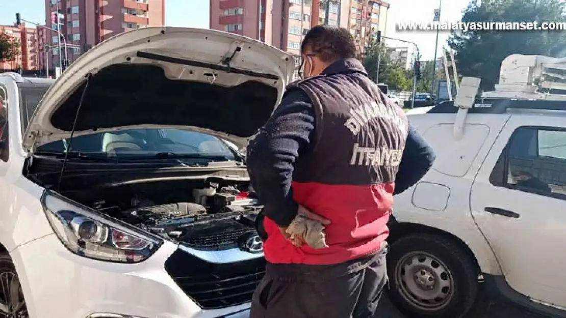 Diyarbakır'da araçta sıkışan kediyi itfaiye kurtardı, Mehmetçik sahiplendi