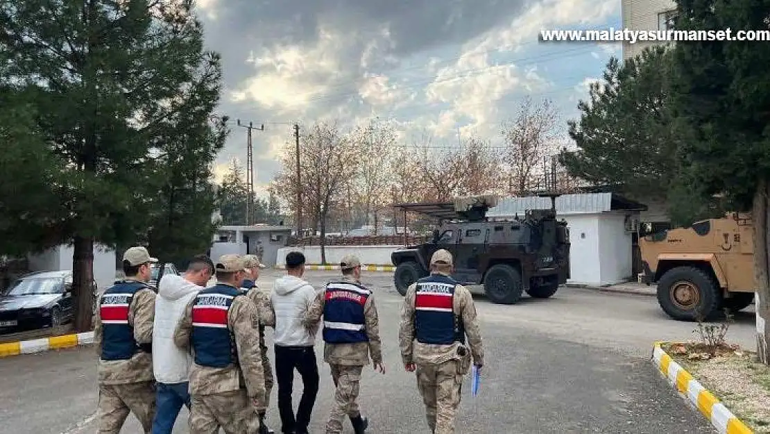 Diyarbakır'da büyükbaş hayvan hırsızları tutuklandı