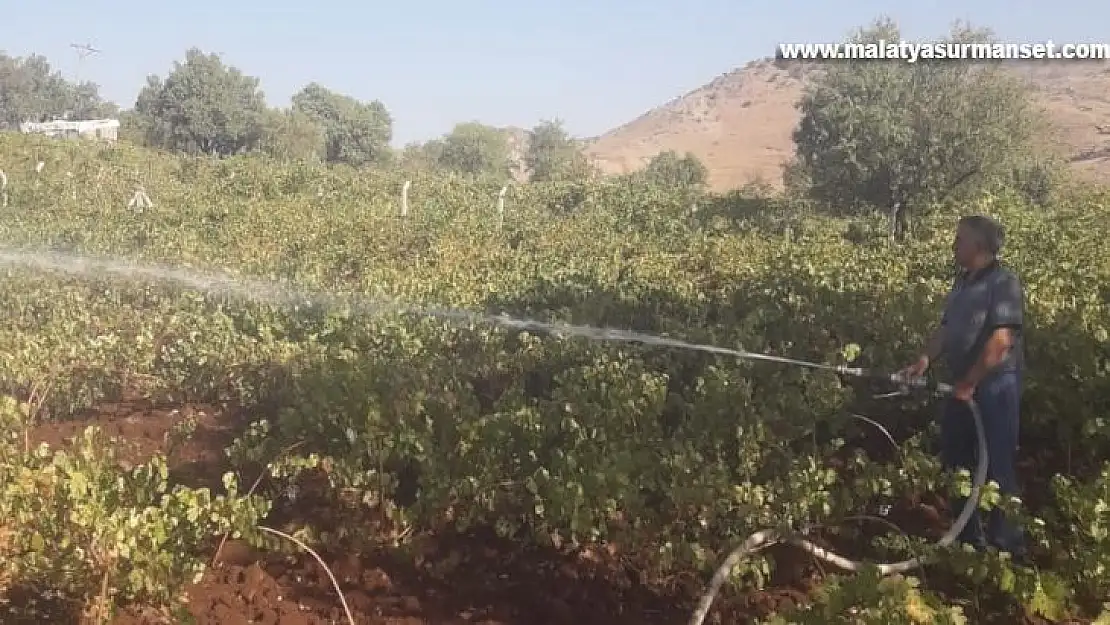 Diyarbakır'da kurumaya yüz tutan üzüm bağları itfaiyenin desteği ile sulandı