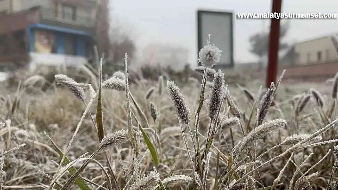 Diyarbakır'da uçak seferlerine 'sis' engeli