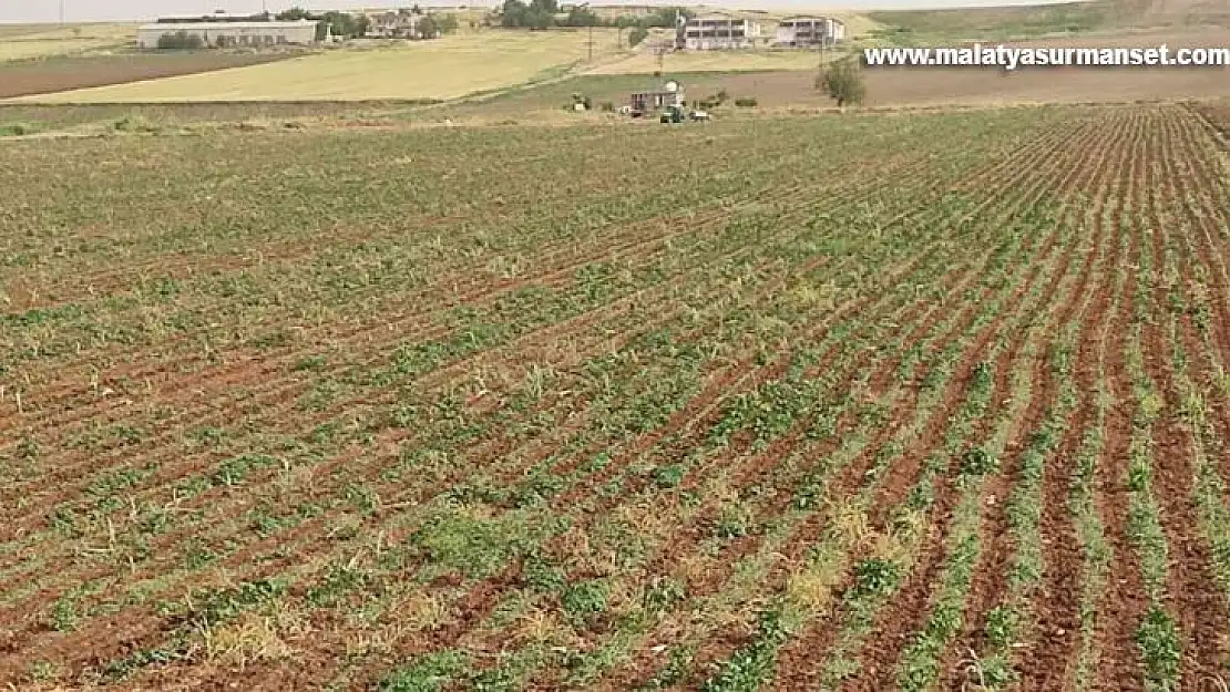 Diyarbakır'da yıldırım çarpması sonucu bir çocuk öldü