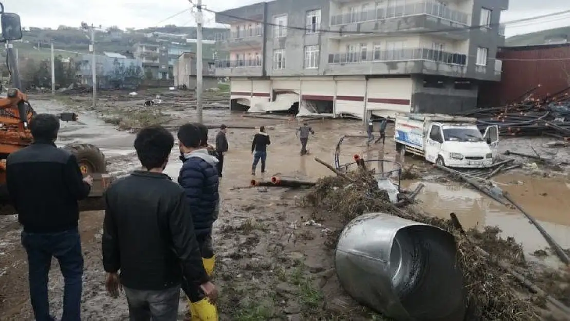 Diyarbakır'ı sağanak vurdu, onlarca büyükbaş hayvan telef oldu