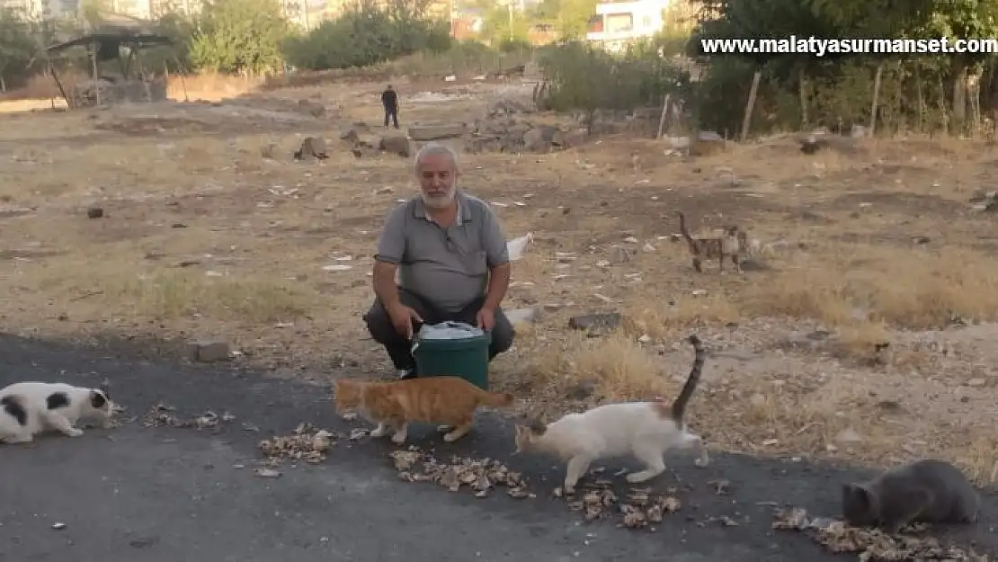 Diyarbakır'ın Derman Baba'sı sokak hayvanlarını unutmadı