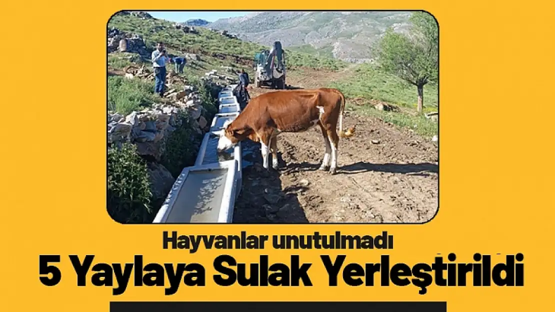 Doğanşehir Belediyesi 5 Yaylaya Sulak Yerleştirdi