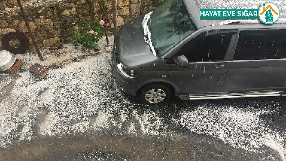 Dolu yağışı bahçelere ve ekinlere zarar verdi