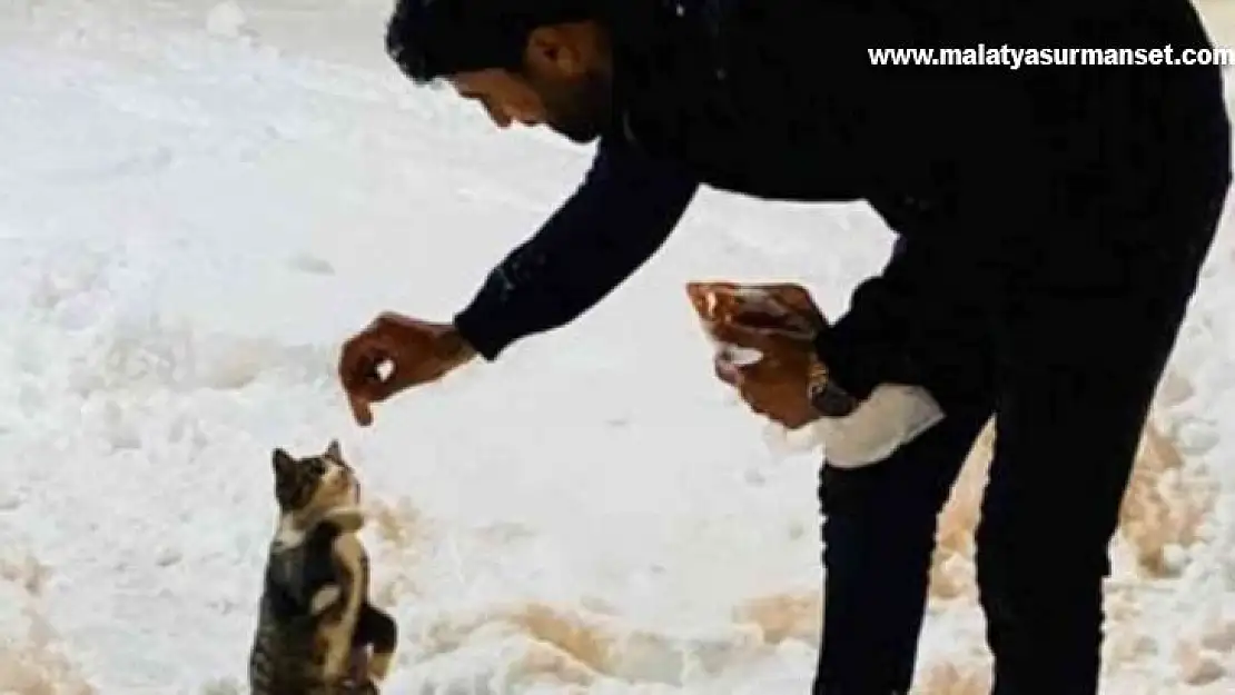 Dönüp gitmek yerine onları beslemek için yiyecekle geri dönmeyi seçti