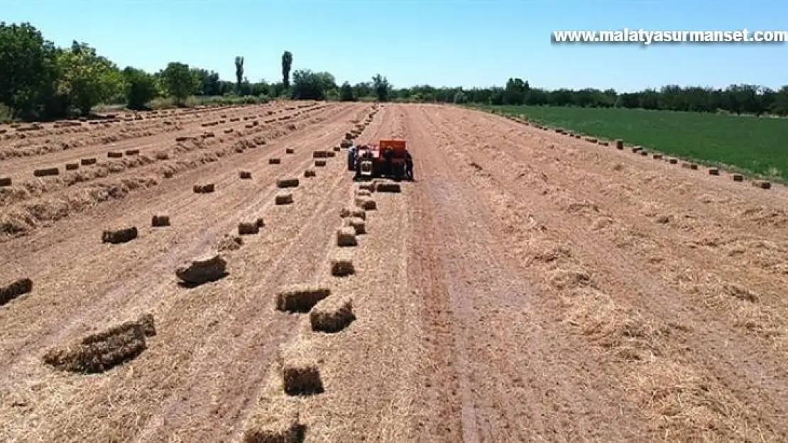 Dörtlü karışım yem bitkisinden üstün verim alındı