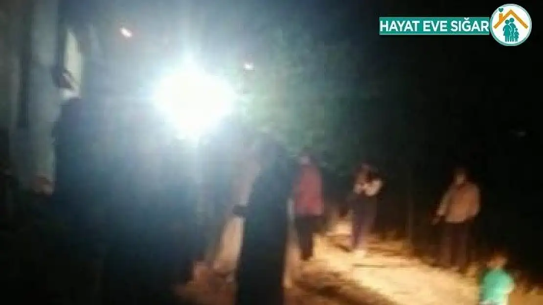 Düğünde çekilen halay pahalıya patladı