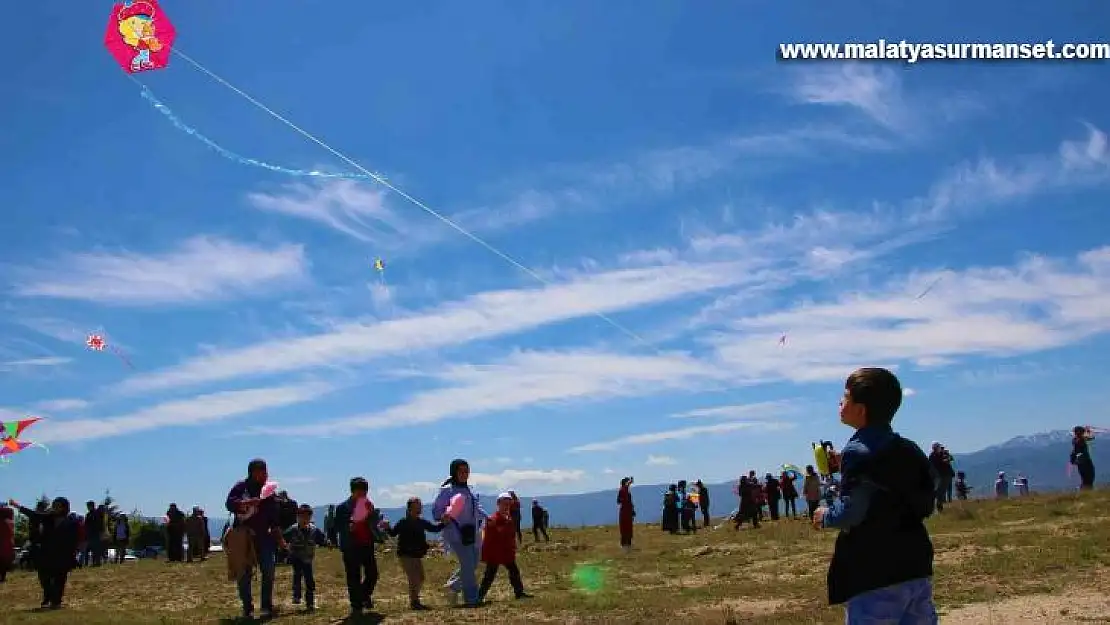 Elazığ'da 'Engelsiz Uçurtma Şenliği' renkli görüntülere sahne oldu