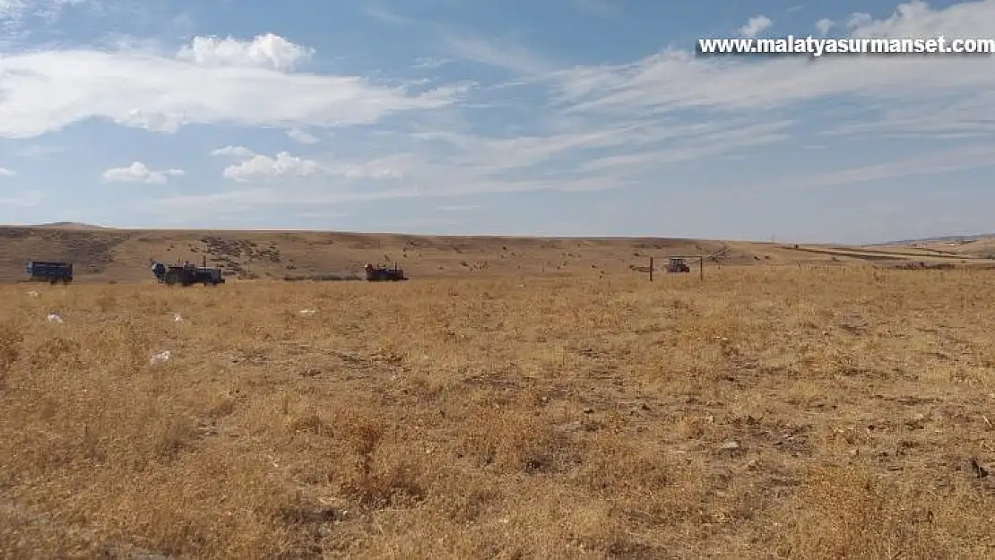 Elazığ'da 136 bin dekar alanda mera ıslah çalışmaları tamamlandı