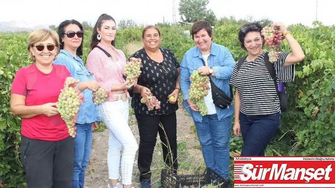 Elazığ'da bağ bozumu turizmi