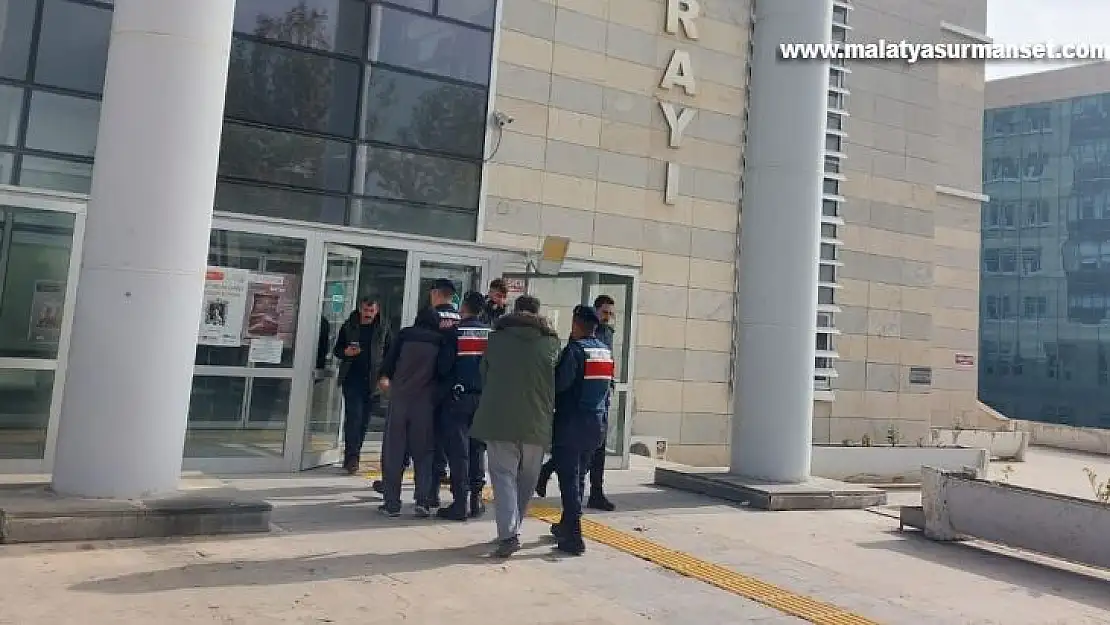 Elazığ'da bir köyü soyan hırsızlar, jandarmaya yakalandı