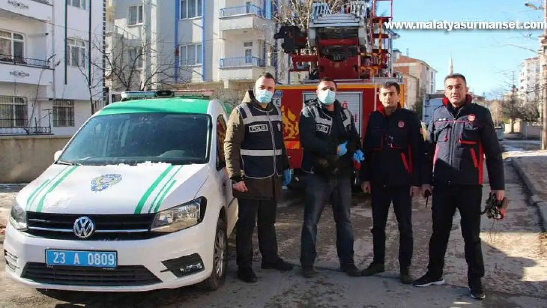 Elazığ'da çatıda mahsur kalan kedi için HAYDİ ve itfaiye ekipleri seferber oldu