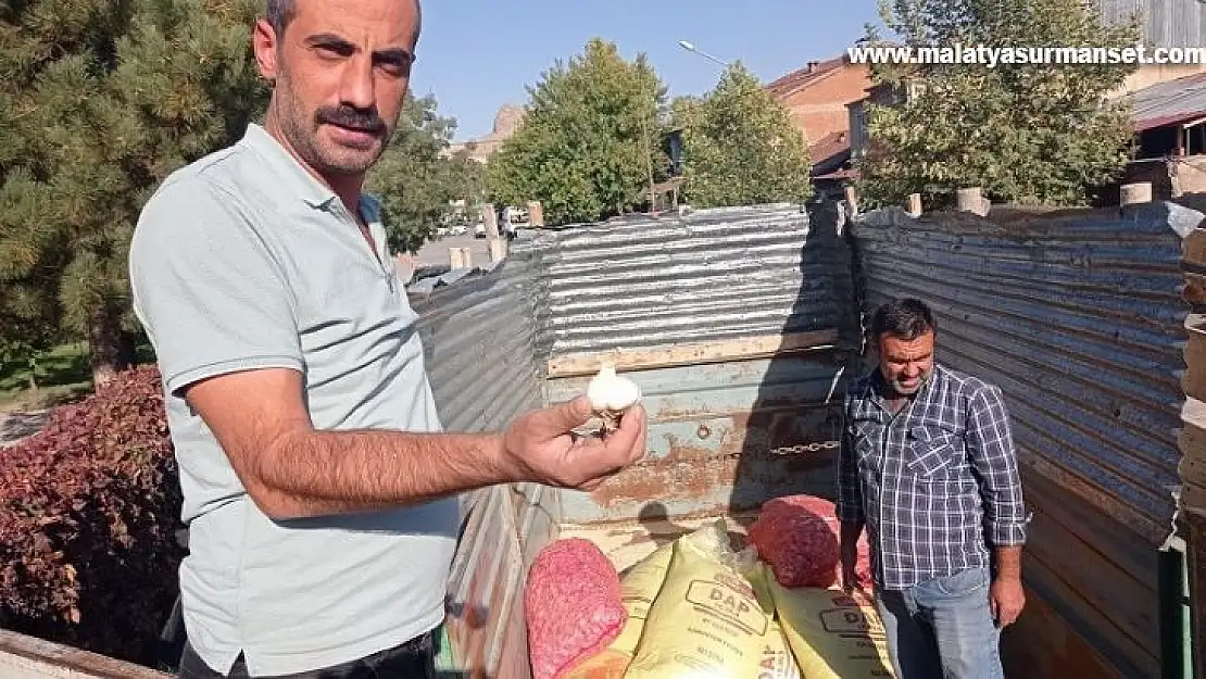 Elazığ'da çiftçilere yüzde 75 hibeli sarımsak tohumu dağıtıldı