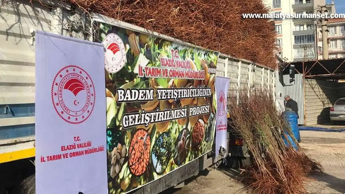 Elazığ'da çiftçiye 68 bin 500 adet badem fidanı dağıtıldı