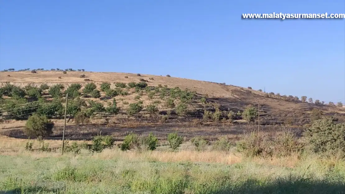 Elazığ'da çıkan yangında 250 dönüm ekili alan zarar gördü