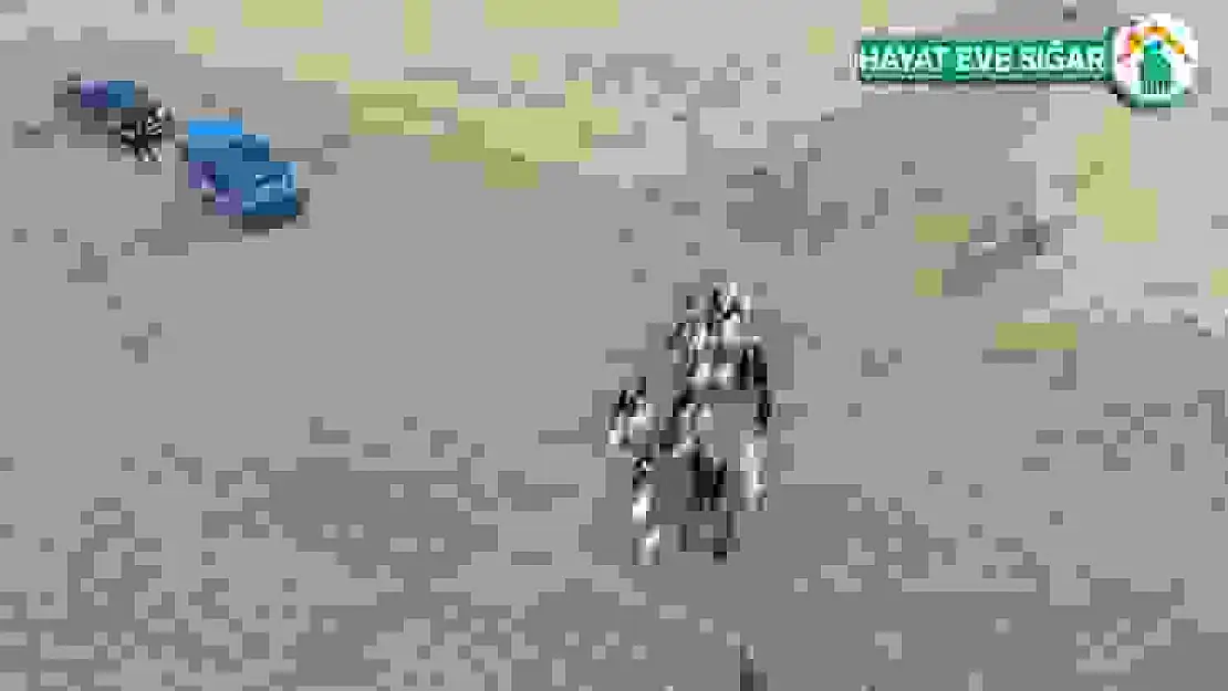 Elazığ'da firar eden hayvanlar, 7 kilometre uzakta drone ile bulundu