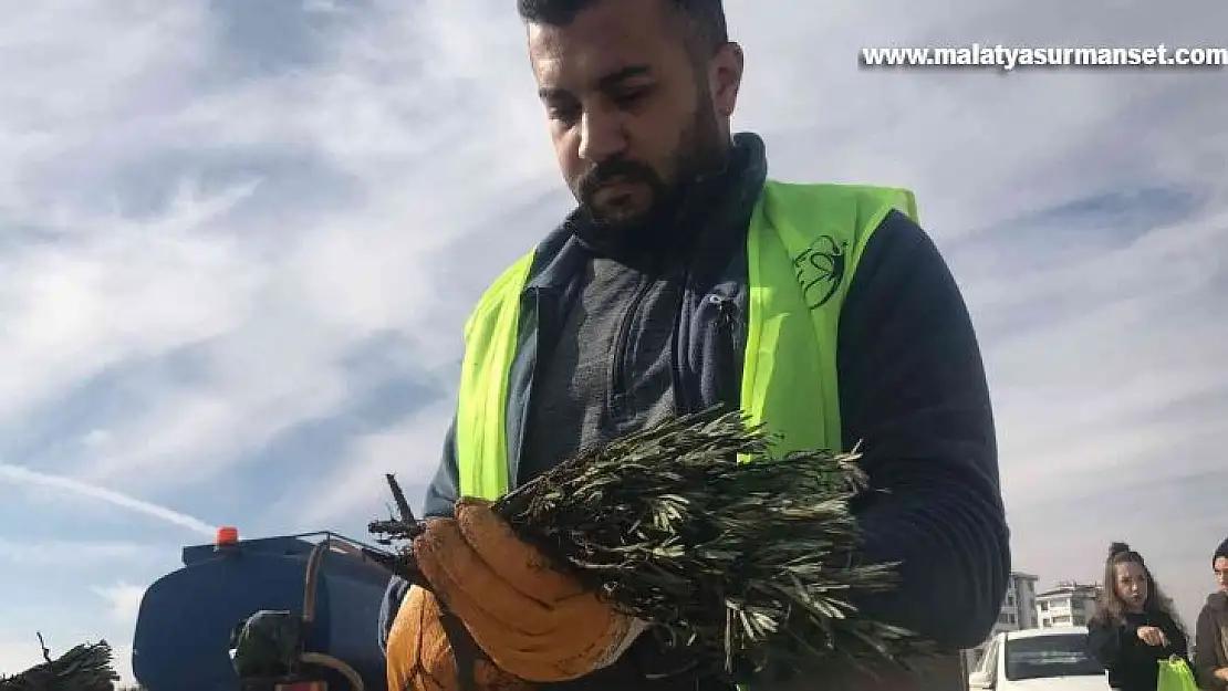 Elazığ'da İpek Yolu Gençlik Merkezi gönüllülerinden lavanta parkı