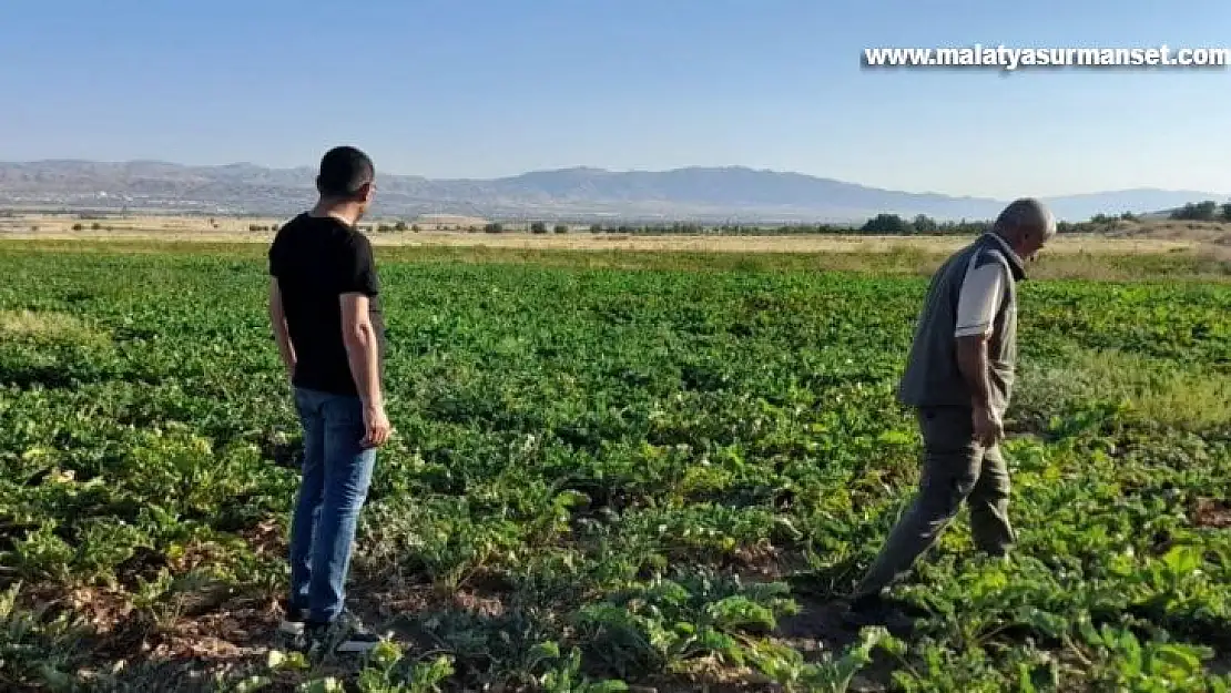 Elazığ'da kaçak avcılığın önlenmesi için denetimler sürüyor