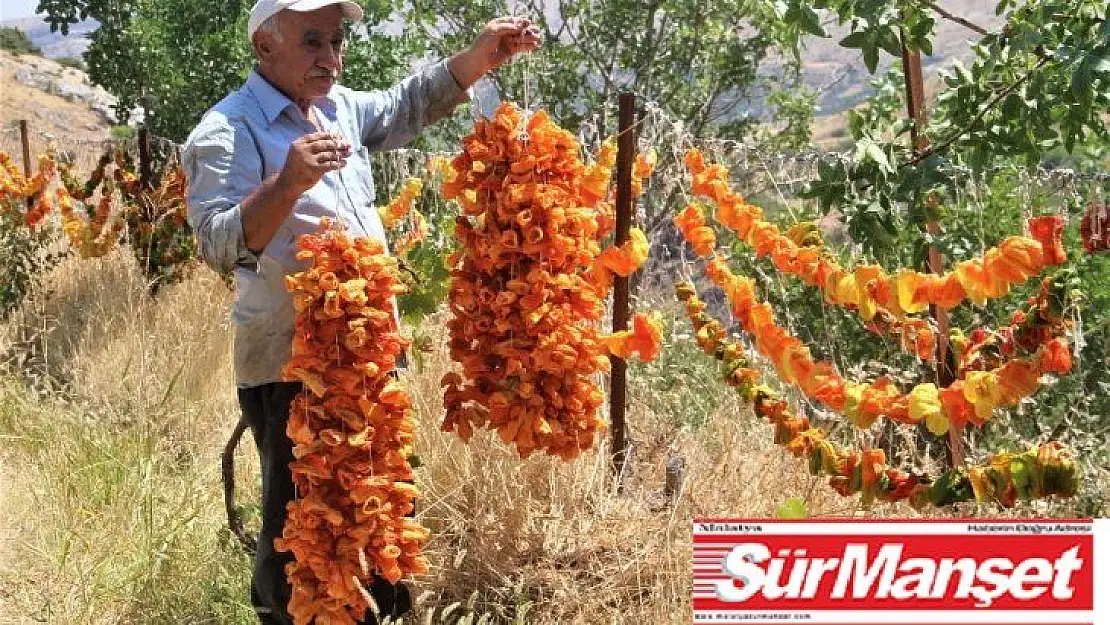 Elazığ'da kış için 'kurutmalık' mesaisi  başladı