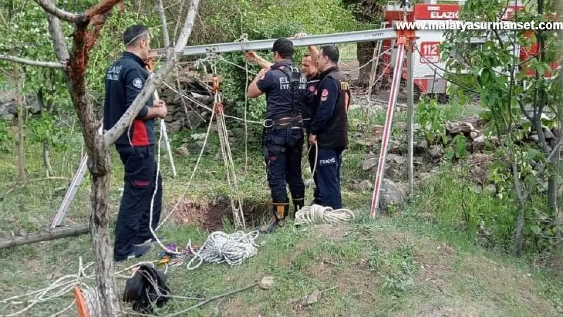 Elazığ'da kuyuya düşen inek kurtarıldı