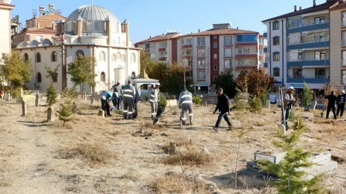 Elazığ'da mezarlıklara 5 bin fidan