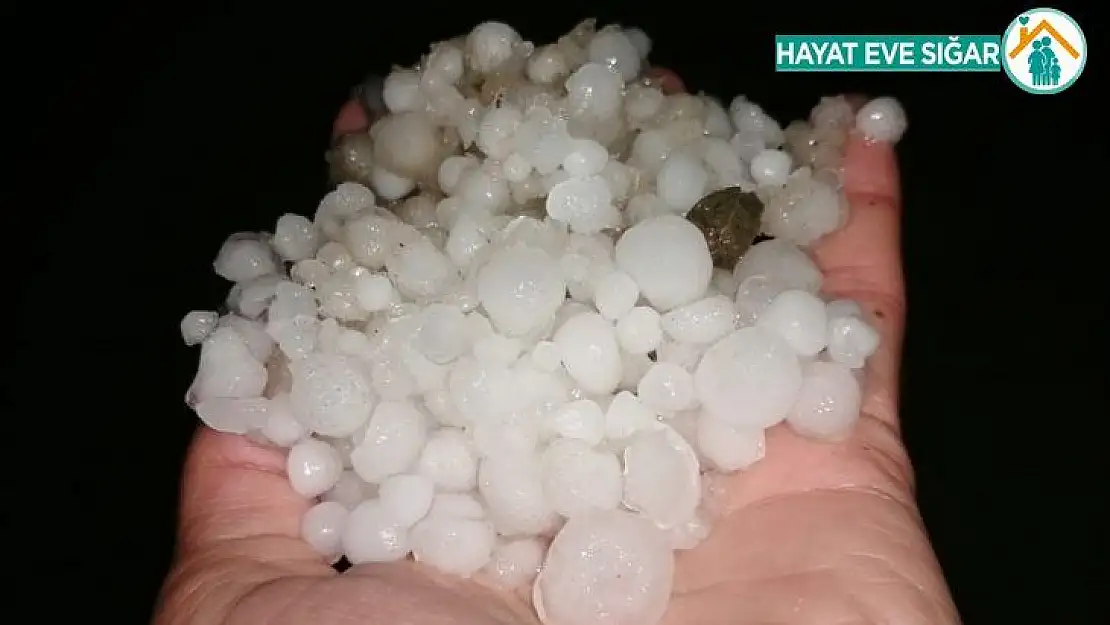 Elazığ'da misket büyüklüğündeki dolu, bahçelere zarar verdi