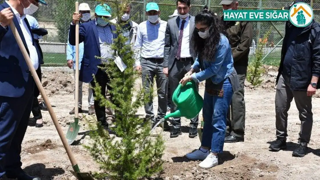 Elazığ'da sağlık çalışanları için hatıra ormanı