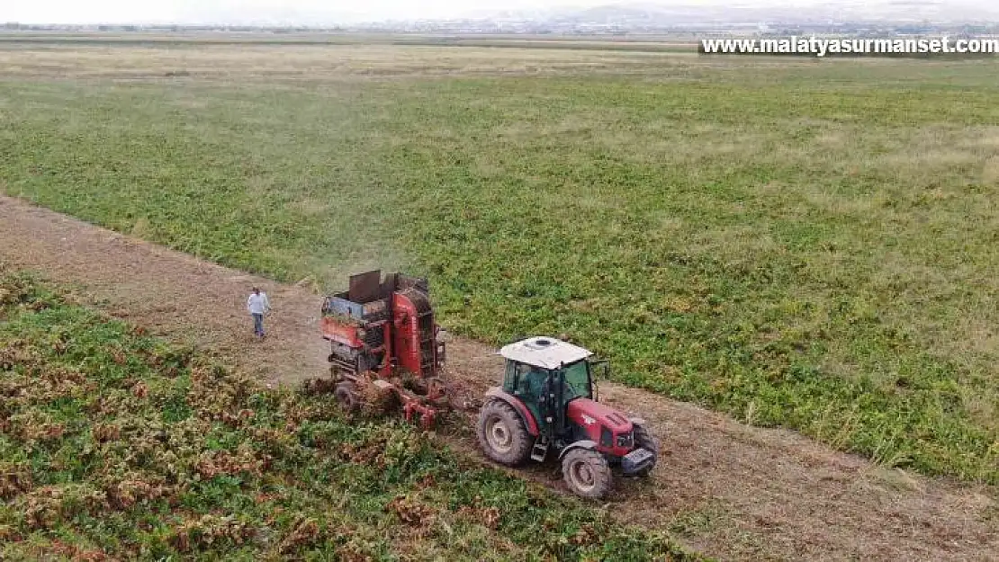 Elazığ'da şeker pancarı mesaisine başlayan çiftçiler fiyattan memnun