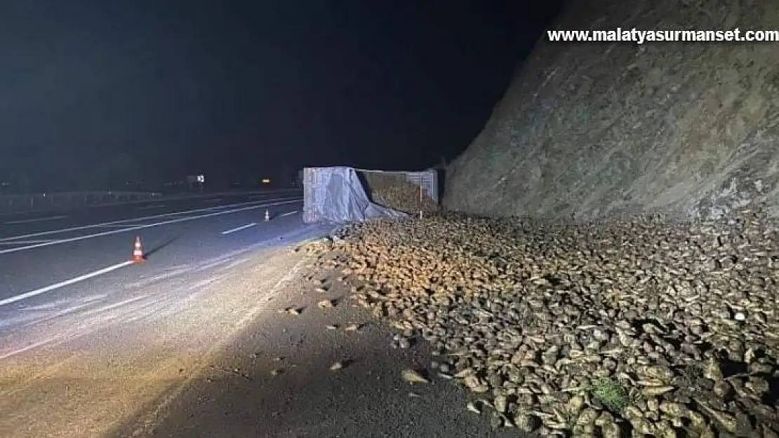 Elazığ'da şeker pancarı yüklü tır devrildi: 1 yaralı