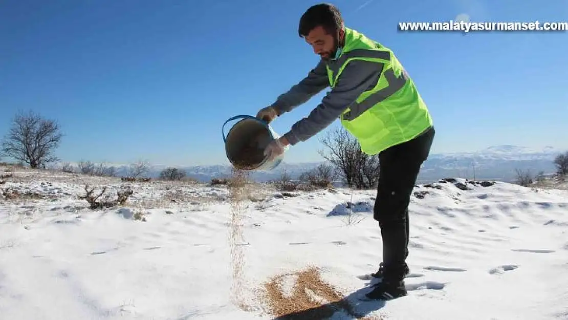 Elazığ'da sokak ve yaban hayvanları için 90 farklı noktaya yem bırakıldı