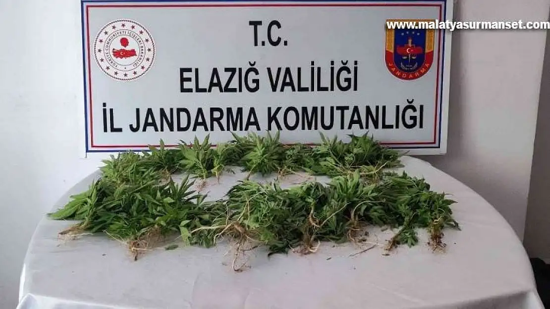 Elazığ'da uyuşturucu operasyonu