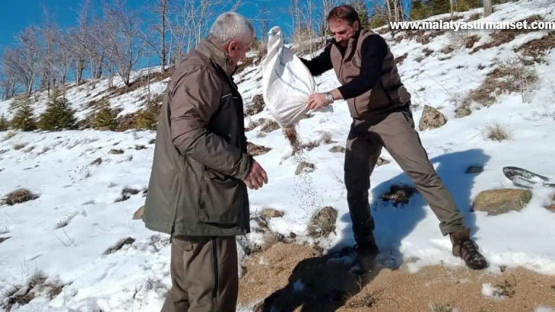 Elazığ'da yaban hayvanları için doğaya yem bırakıldı