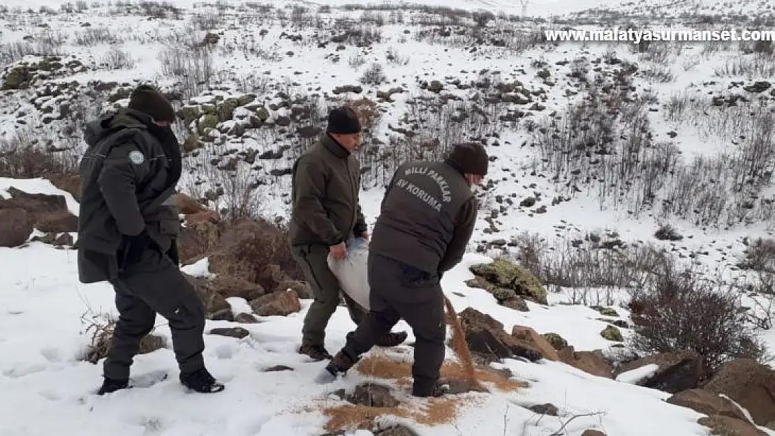 Elazığ'da yaban hayvanları için doğaya yem bırakıldı