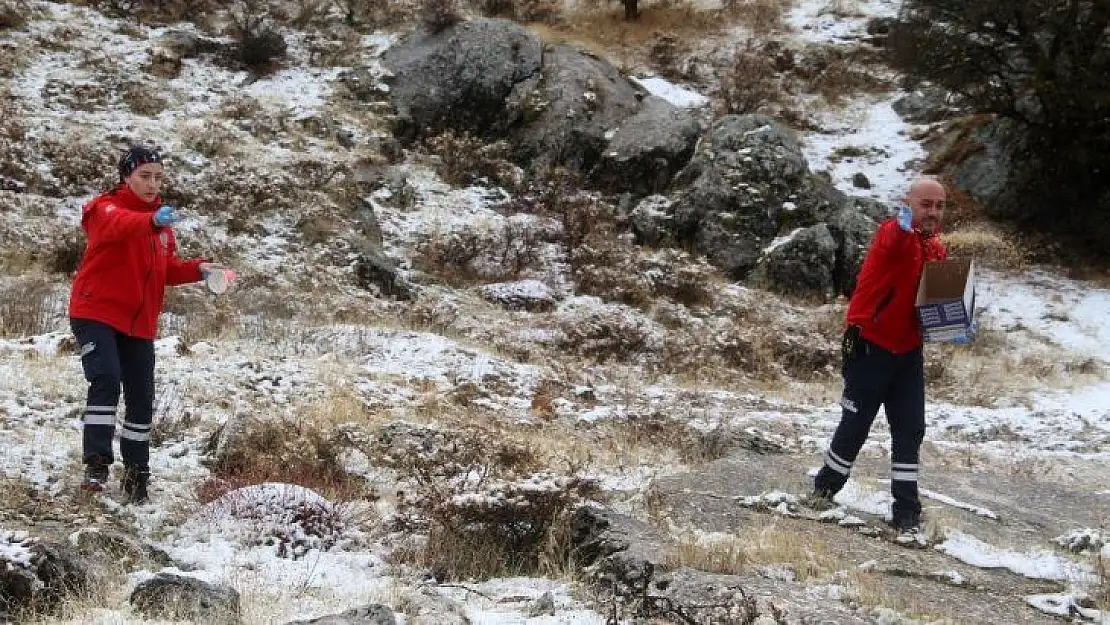 Elazığ'da yüksek kesimlere kar yağdı, sağlıkçılar doğaya yem bıraktı