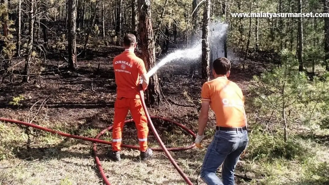 Emet'te orman yangını, 3,5 dekar alan zarar gördü