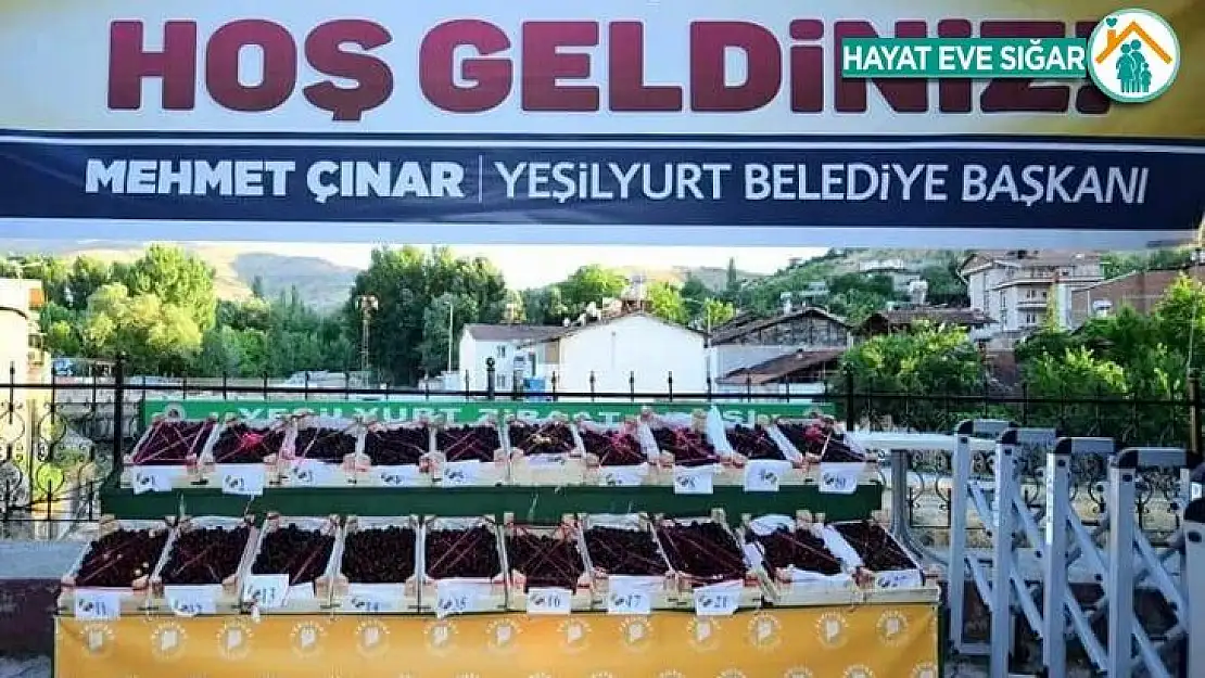 En iyi Yeşilyurt kirazı 21 Haziran'da belirlenecek