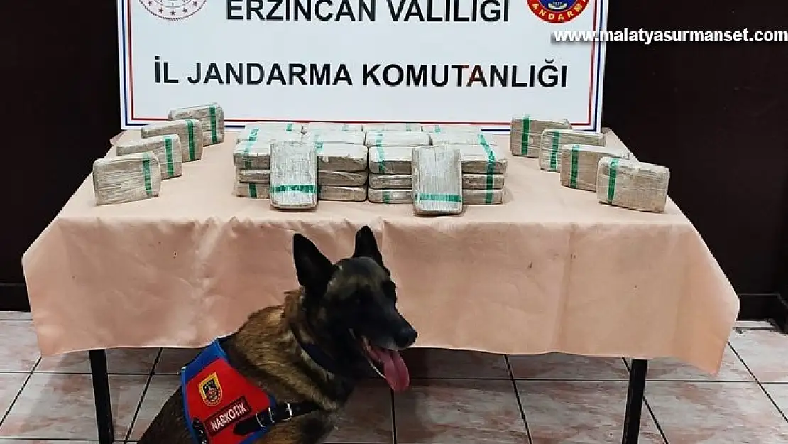 Erzincan'da tır içerisinde 25 kilo 720 gram eroin ele geçirildi