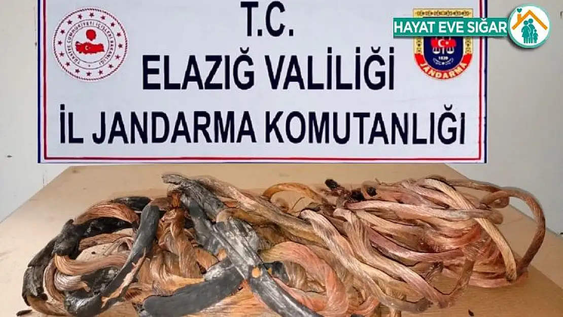 Erzurum'da çaldılar Elazığ'da yakalandılar