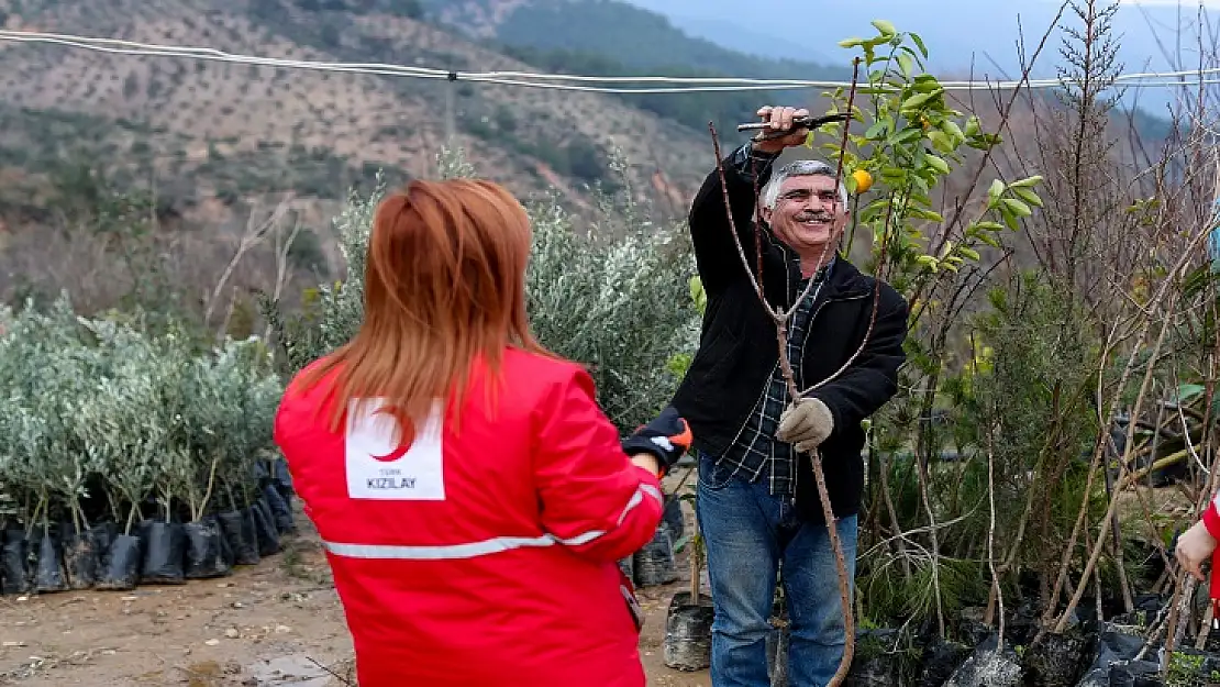 Esnaf Destek Programının İkinci Aşaması  Hayata Geçti