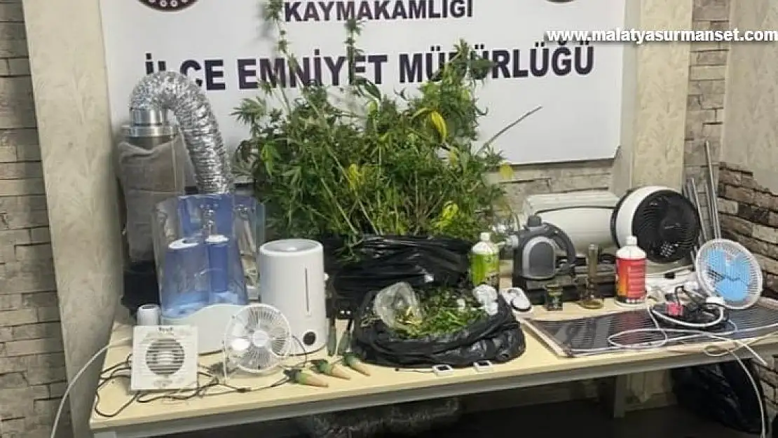 Evi uyuşturucu tarlasına dönüştürdüler