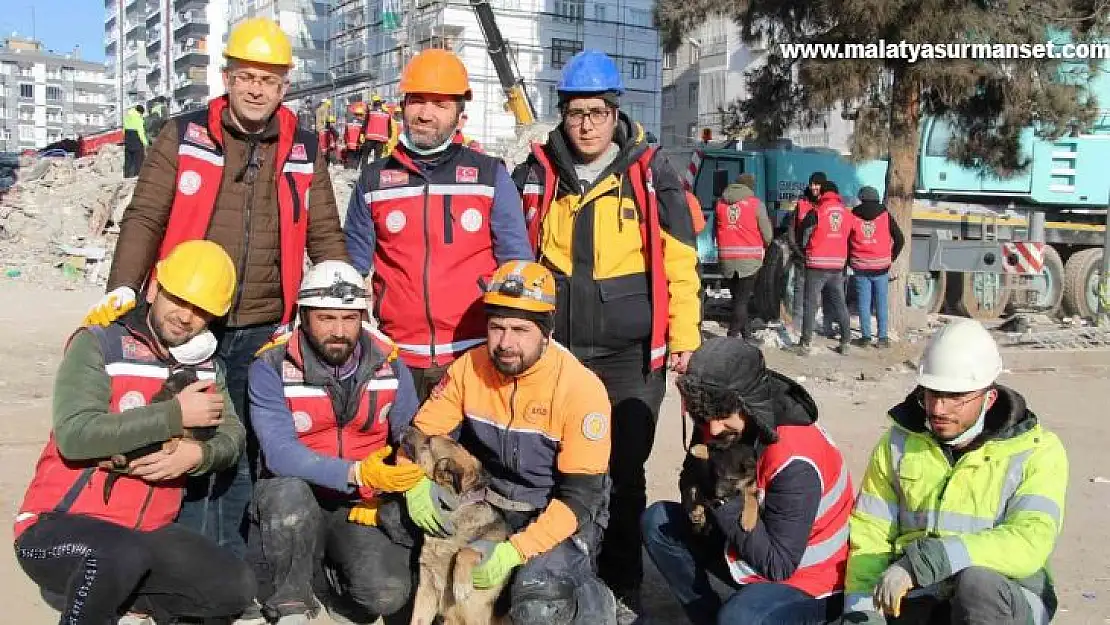 Ezan okunurken uluyan köpek ve yavruları, sesi fark eden görevlilerce enkazdan kurtarıldı