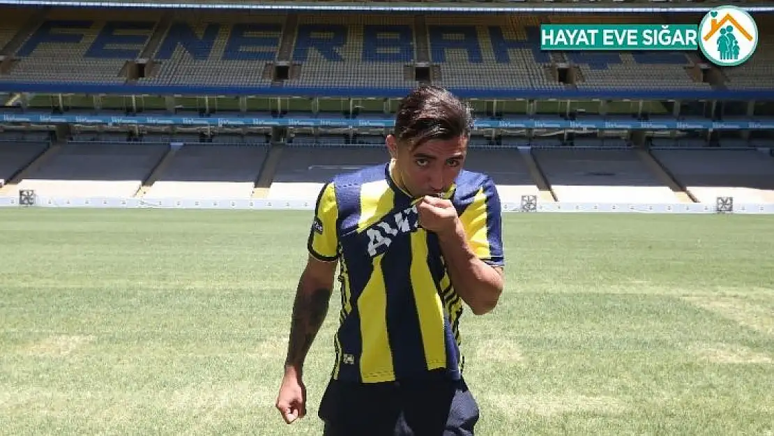 Fenerbahçe Allahyar Sayyadmanesh'in sözleşmesinin iptaline yönelik alınmış bir karar yoktur