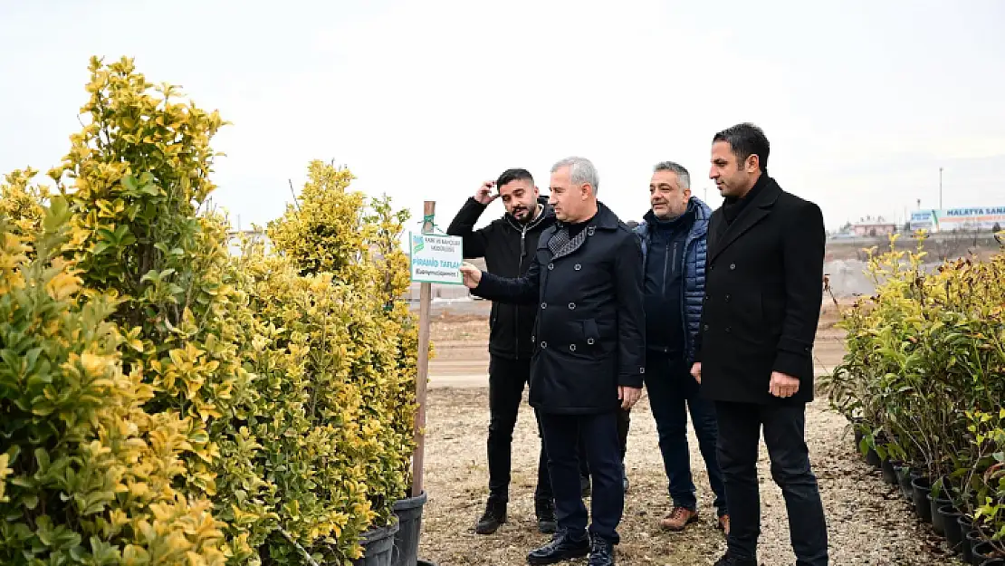 Fidanlarımızı Kendi Tesislerimizde Üreterek Bütçede Tasarruf Sağlıyoruz