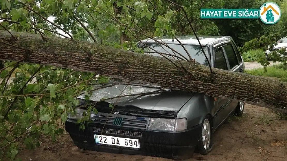 Fırtına sebebiyle ağaçlar araçların üzerine devrildi, yollar kapandı