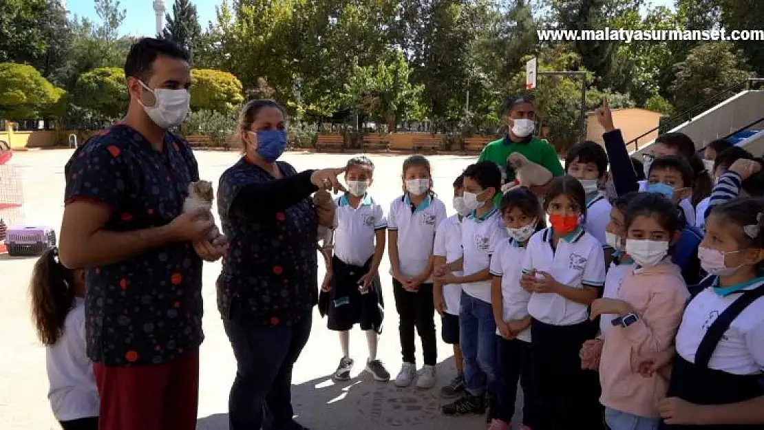 Gaziantep Büyükşehir, miniklere hayvan sevgisi aşılamak için düğmeye bastı